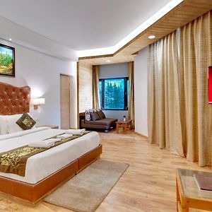 Suite Mountain View